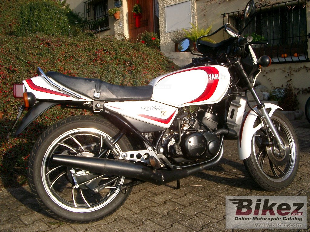 Big  rd 250 lc picture and wallpaper from Bikez.com